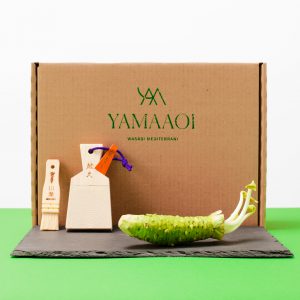 Wasabi Surf and Boat Gift Pack - Tools and Accessories
